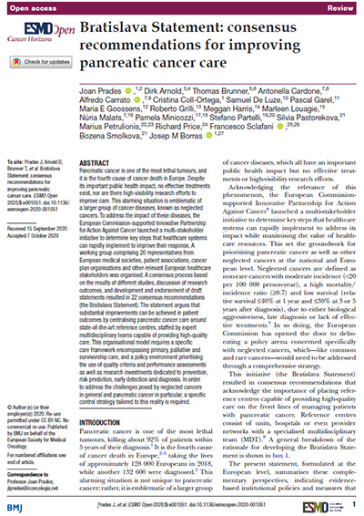 Bratislava Statement: consensus recommendations for improving pancreatic cancer care